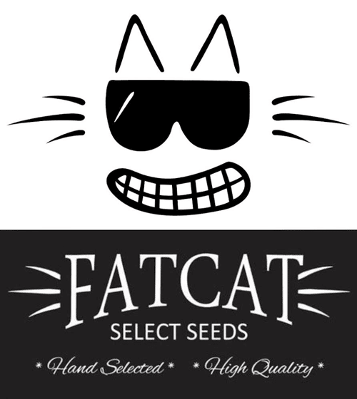 FATCAT Select Seeds