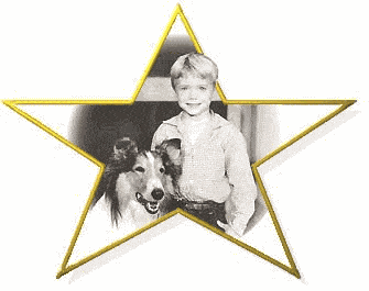 Meet Jon Provost The Original Timmy From TV's Lassie at HighLifeStyle Show
