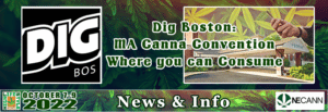 The Mass Canna-Convention Where You Can Consume: Dig Boston & Gary Sohmers